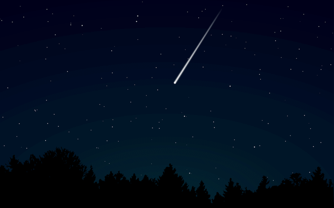 Sotto le stelle del jazz