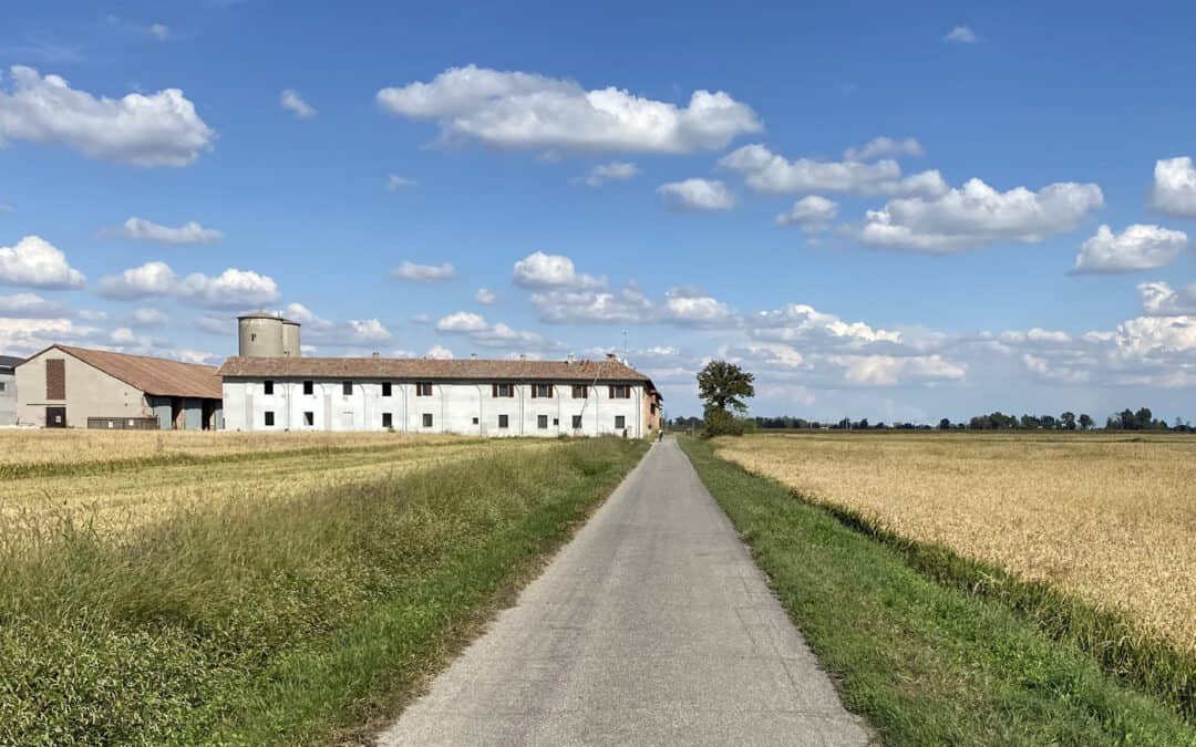 MILANO GRAVEL 5.0 – WEEK
