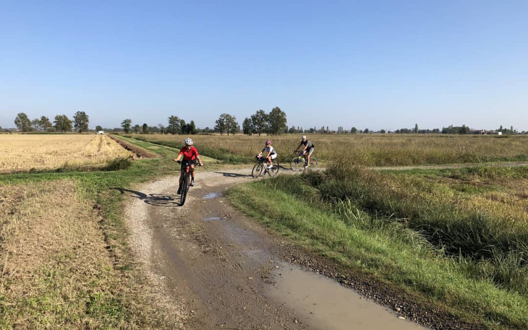 Copertoncini e percorsi gravel, cosa c’è da sapere (1)